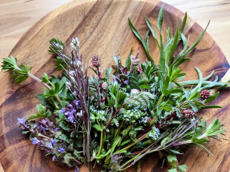 Natural herbs for hair care routine