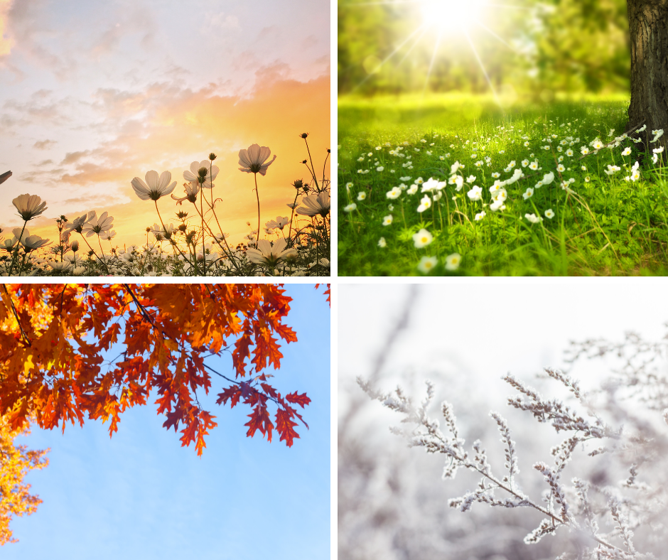 different seasons